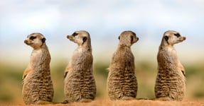 10 Ways to Keep Buyers Engaged During Virtual Meetings