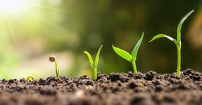 Infographic: 10 Steps for Growing Your Key Accounts