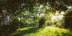 The Definition of Sales Management - What's Missing