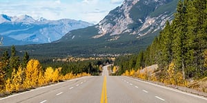 The Secret to Driving and Winning a Sales Opportunity