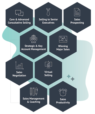 Hexagons depicting the topic areas of RAIN Group's sales training programs.