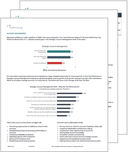 Sales Assessment Preview Pages