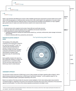 Sales Assessment Preview Pages