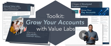 Toolkit: Grow Your Accounts with Value Labs