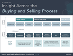 Insight Across the Sales Process