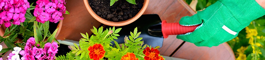 Lead Nurturing: 3 Things You Need to Know