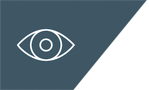 Actionable Insights