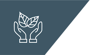 Anchored in Human-Centered Leadership