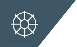 AI-powered coaching & feedback